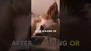 He Shakes Without Being Cold &mdash; Don&rsquo;t Ignore This Sign