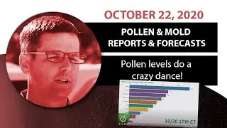 Seasonal Allergy Forecast: Pollen and Mold Counts, October 22, 2020