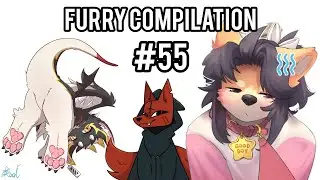 La Mejor Compilacion Furry Que Verás🔥🔥