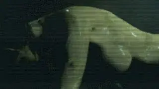 Resident Evil 6 - Ada's Boobs?!!