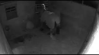 Trevor BEFORE taking any of Ron Fields Nutrition Products