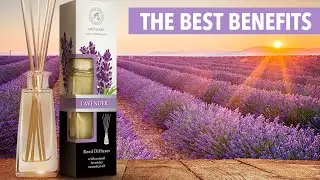 Lavender reed diffuser - Best benefits