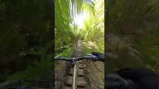 skinny ladder bridge | virginia key mtb