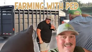 The Weight is Over, Beef Delivery Day | Farming with Ped