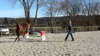 MOV00160