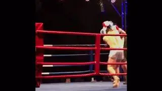 Giorgi Bazanov  win Germany K1 tittle