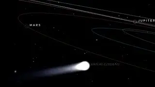 Could visiting interstellar object be connected to 1977 deep space Wow Signal?