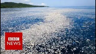 The plastic bottle scheme that could help clean the oceans - BBC News