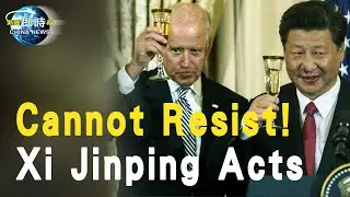 Cannot Resist! Xi Jinping Acts. CA Republicans flip 4 seats in House, surpassing all states；