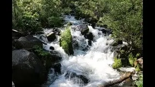 Mesa Creek Trail