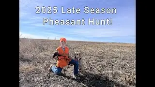 2025 Late season pheasant hunt!