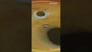 Mind-Blown by AI: Everyday Object to Epic Art!