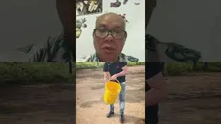 Đ&ocirc;i khi Kh&ocirc;ng thể tin v&agrave;o điều mắt thấy
