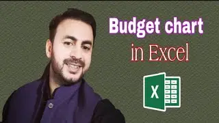 Budget chart ||11th Lecture of Ms Excel for beginners