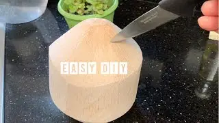 [How to open a young coconut at home, the easy method!]
