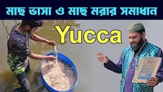 পুকুরে গ্যাস দূর করতে ইউকা প্রয়োগ || Remove Gas in Your Pond || 2026
