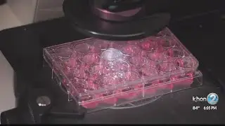 COVID-19 research could potentially identify high risk cases after testing