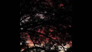 Lil Kevo 303 - ⚢love♡in⚤da♡club⚣
