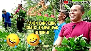 PANEN KANGKUNG GRATIS DI SURINAME,TINGGAL PETIK‼BLUSUKAN KE KEBUN PAK HENDREK