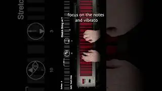 One hand controls dynamics & tone while the other focuses on notes and vibrato 🎻 #mpe #synth