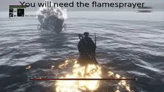 How to cheese Rom, the Vacuous Spider (Bloodborne)