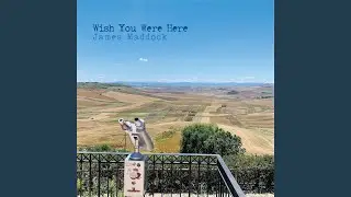 Wish You Were Here