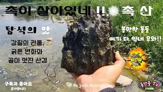 촉이 살아있네/You've got a good pointed mountain/청천탐석/변화석/힘줄석/피부석/관통석/평원석/굵은변화산경/#돌단풍tv