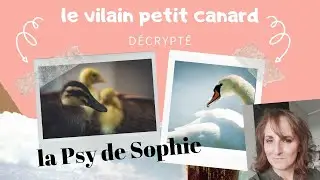 Sophie la Psy : le vilain petit canard décrypté
