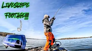 These BIG FISH Are So AGGRESSIVE!!! || Gaston Lake Bass Fishing