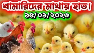 প্রচুর বারিত সকল মুরগির বাচ্চার দাম | আজকের মুরগির বাচ্চার দাম | মুরগির বাচ্চার দাম | #মুরগির_বাচ্চা
