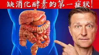 缺消化酵素, 胃腸消化不良、脹氣腹痛,便秘腹瀉,自然療法柏格醫生 Dr Berg