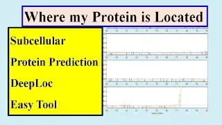Subcellular localization #Genomewidestudy #DeepLOC