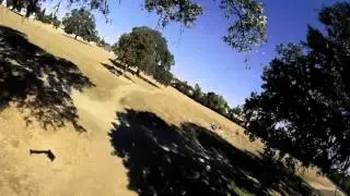 Antelope Prox Practice