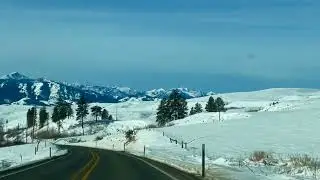 Loup loup pass