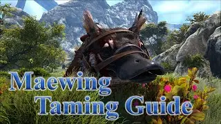MAEWING TAMING GUIDE | How to Tame Maewing & Abilities | Maewing Location