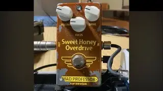 Sweet Honey Overdrive / BJF  DESIGN MAD PROFESSOR 試奏