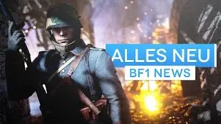 N&auml;chster Gro&szlig;er Patch - Bajonett Fix, Fahrzeug Balancing und mehr - Battlefield 1 News