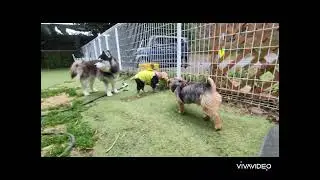 トトくん　クルタくん　フクくんいらっしゃい♪