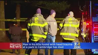 Man Found With Head Injuries In Cambridge Park Dies
