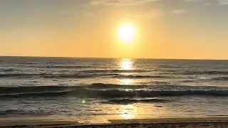 18.12.2025 Sydney Surf Report Queenscliff Beach Australia 
