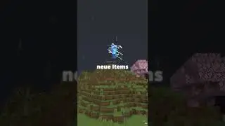 Minecraft Varo in der 1.21! (TEILNEHMER GESUCHT)