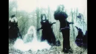 Wir Masquerade - Noir Fleurir