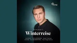 Winterreise, D. 911: No. 12, Einsamkeit