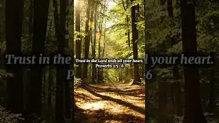 Straight Paths | Proverbs 3:5&ndash;6  Bible #Faith #Proverbs356 #Trust #NIV #ChristianShorts