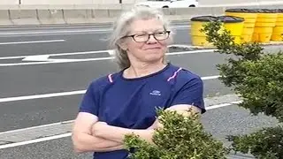 Karen Almost Kills A Dog To Prove A Point