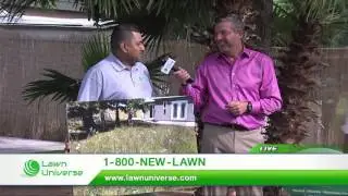 Live on KUSI -- how Lawn Universe transforms lawns!