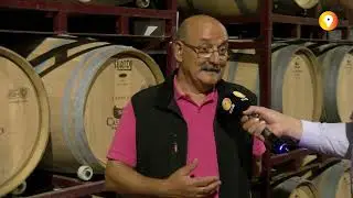 La vendimia arranca con buen pie en Castillejo de Robledo