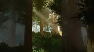 Ark survival ascended photomode on my 4080 4K - Redwoods #arksurvivalascended #gaming #gameplay #pc