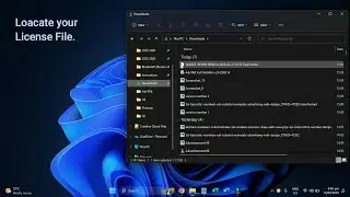 Download License File
