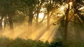 Poetic Images During an Early Morning Bike Ride on August 28, 2024
